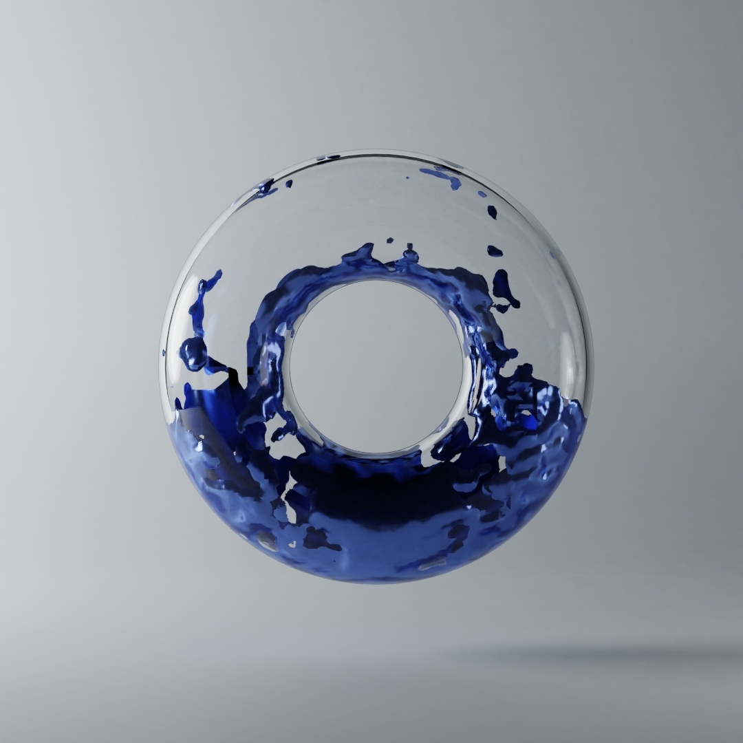 torus04
